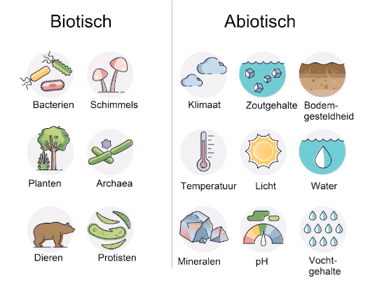Soorten in hun omgeving | StudyGo